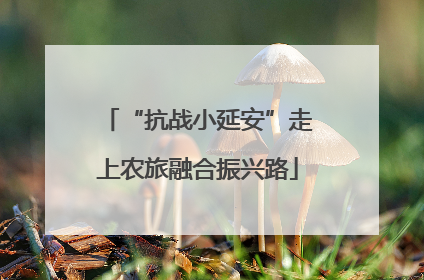 “抗战小延安”走上农旅融合振兴路